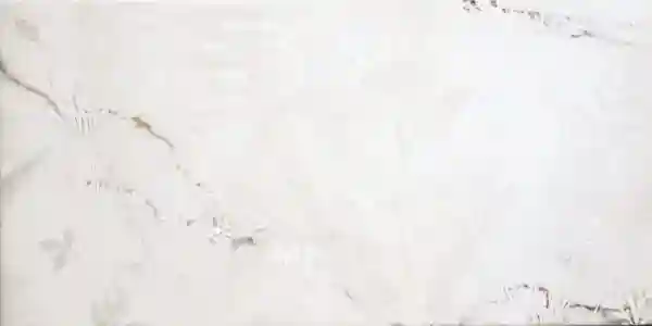 Palazzo View W/DEC M 30.8*60.8 NR Glossy 1/Epicentr 8.5 mm (48)