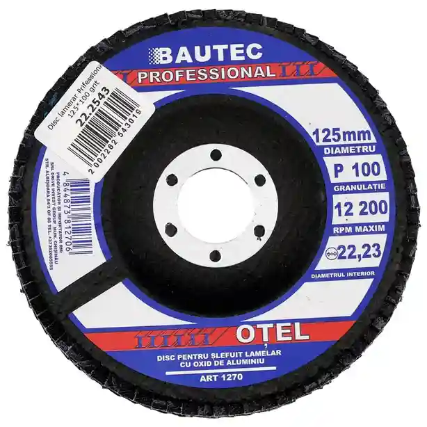 Диск лепестковый Professional 125*100 1270
