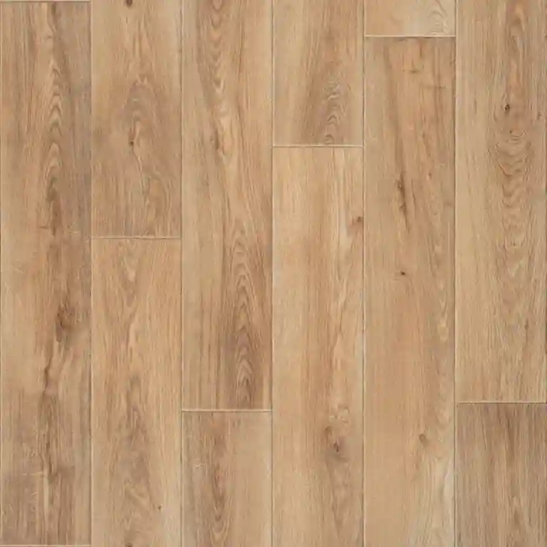 Force Canasta 3