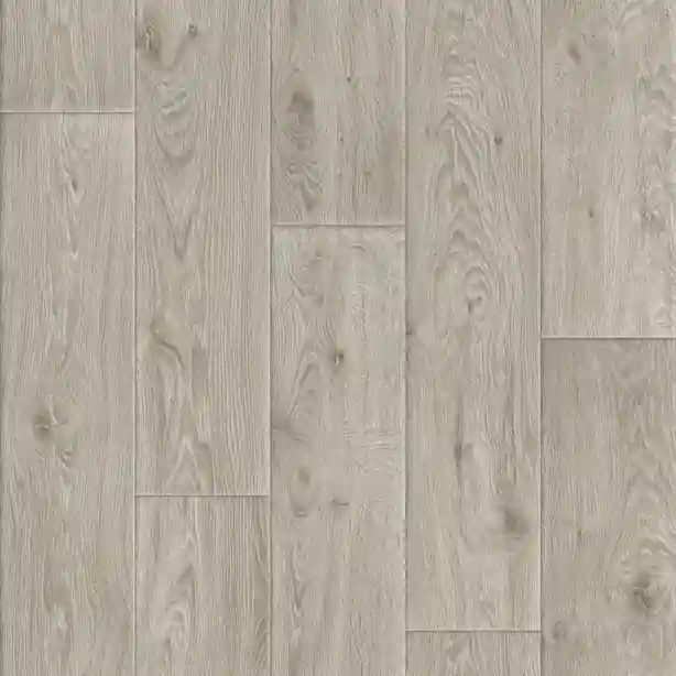 Evolution Raymond 7