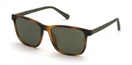 GU00017