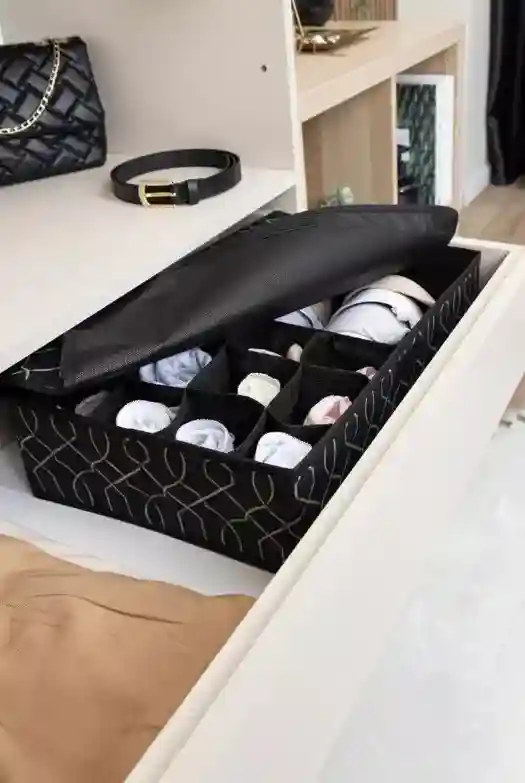 Коробка для нижнего белья Multi-Grid 45x29x11см