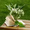 Лучшие книги для чтения весной!