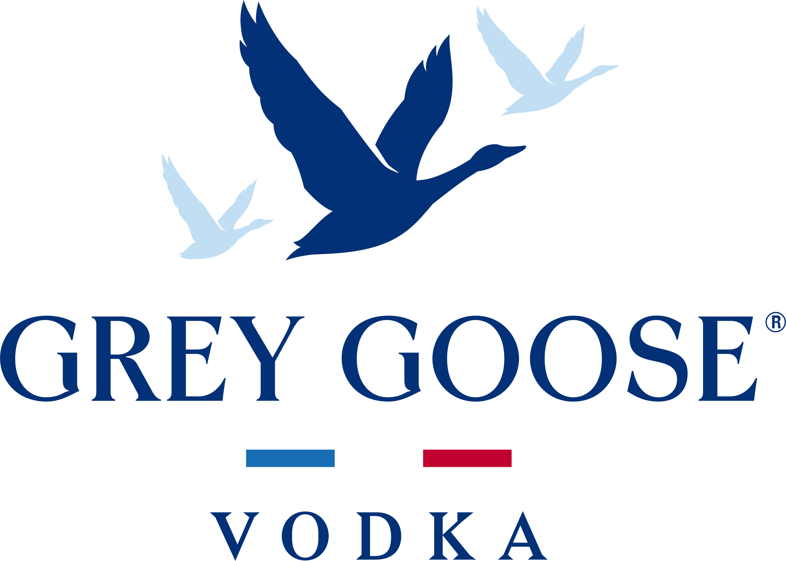 GREY GOOSE