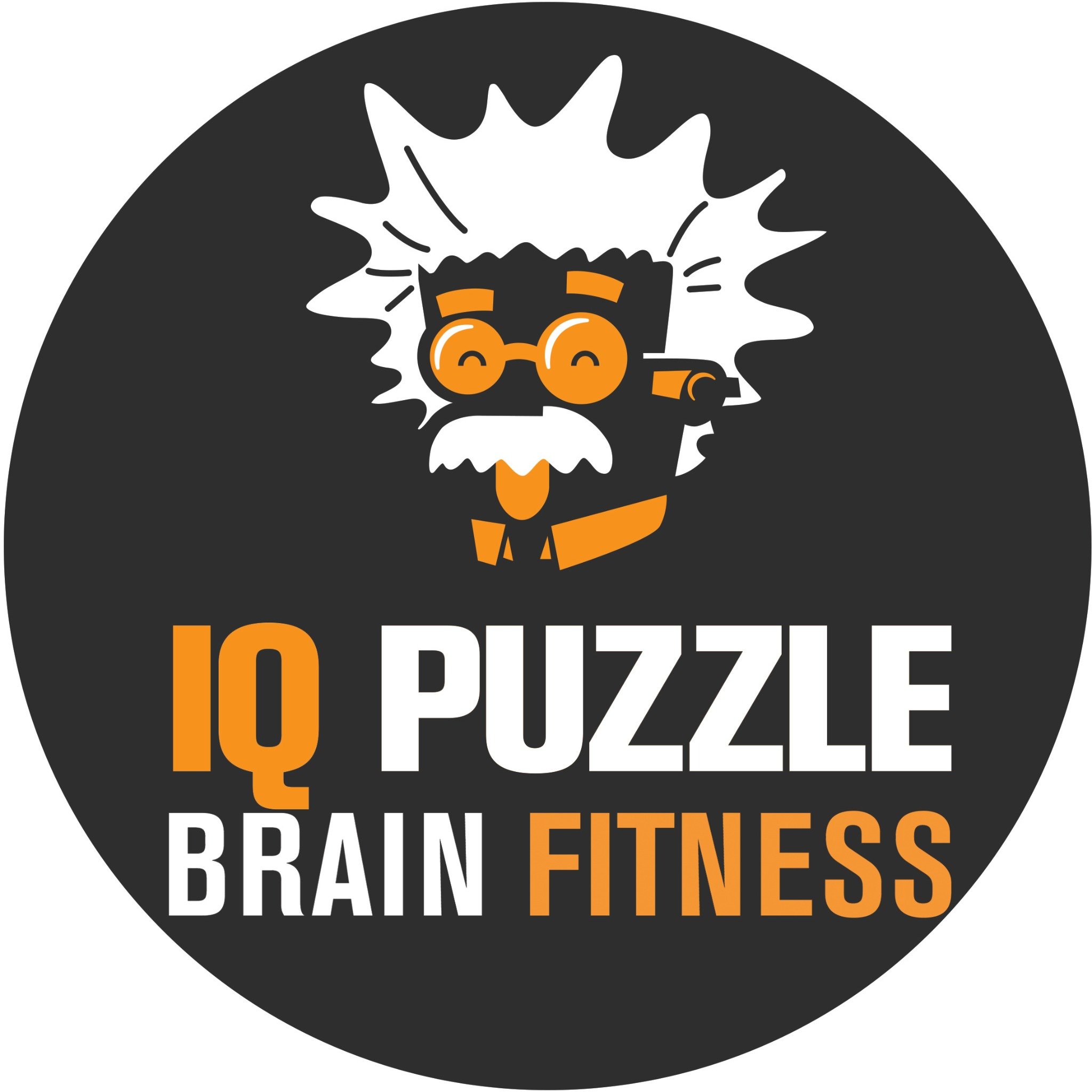 IQ PUZZLE