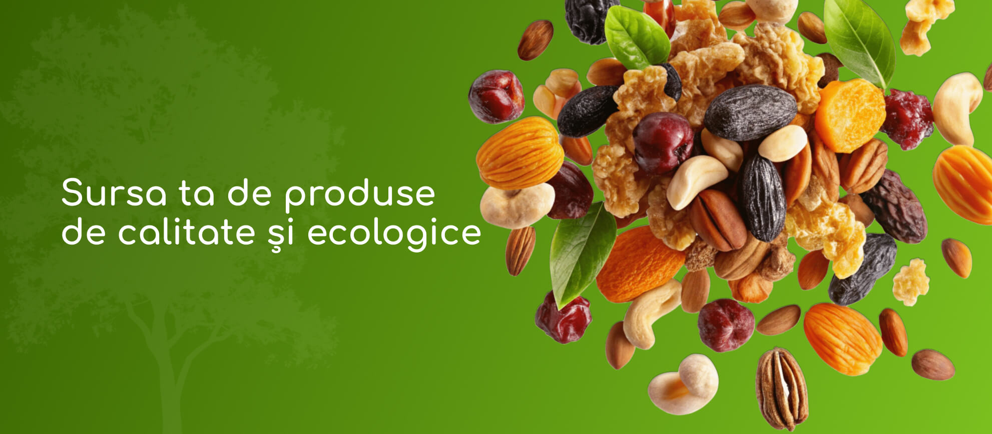 EveryDay - cel mai mare sortiment de nuci, semințe şi fructe uscate în Moldova