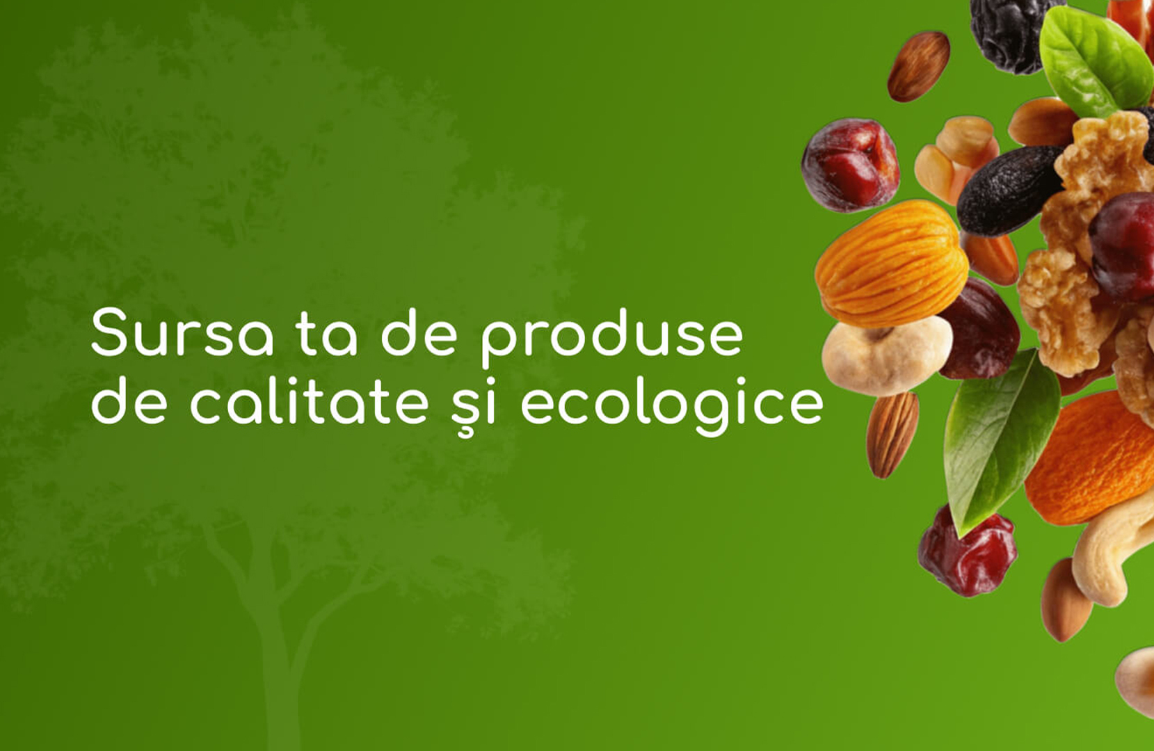 EveryDay - cel mai mare sortiment de nuci, semințe şi fructe uscate în Moldova