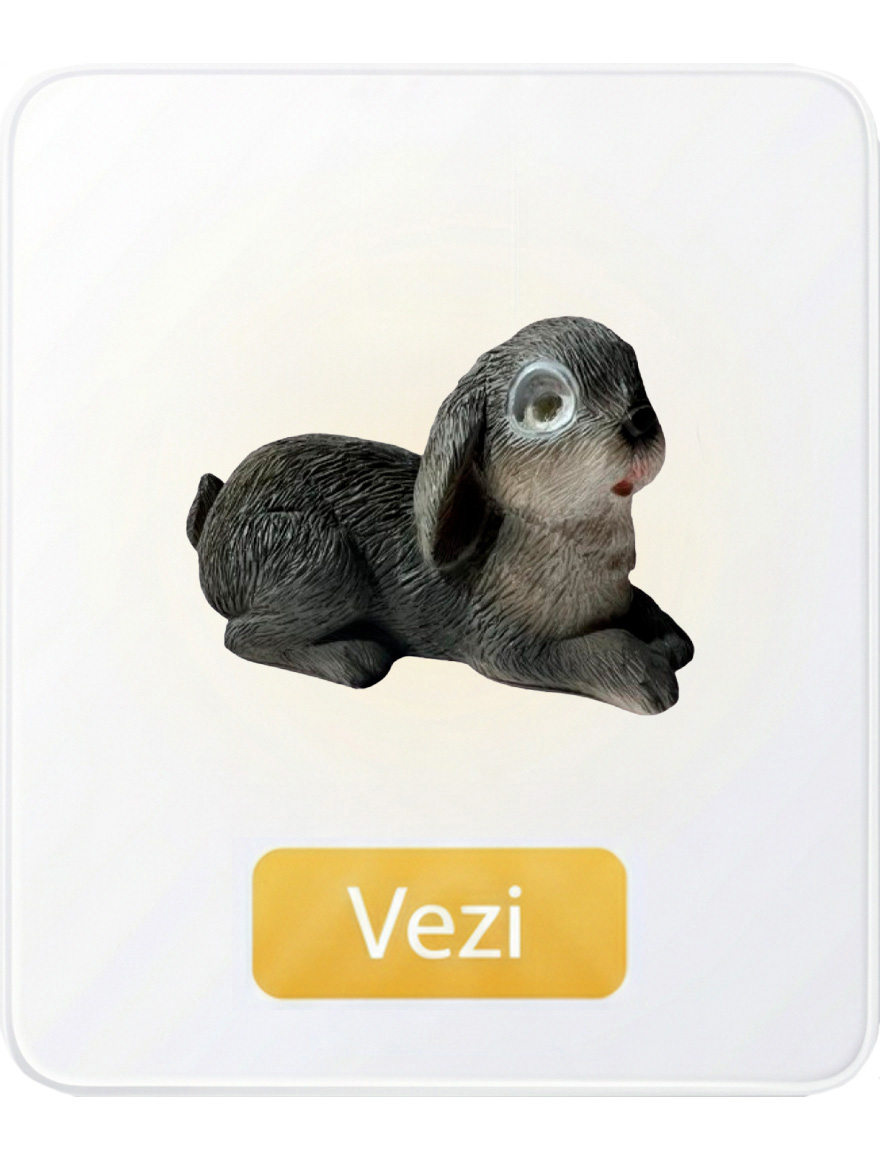 Grădină unelte/decor