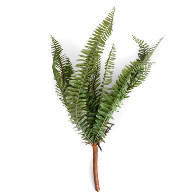 Decorațiuni pentru casă