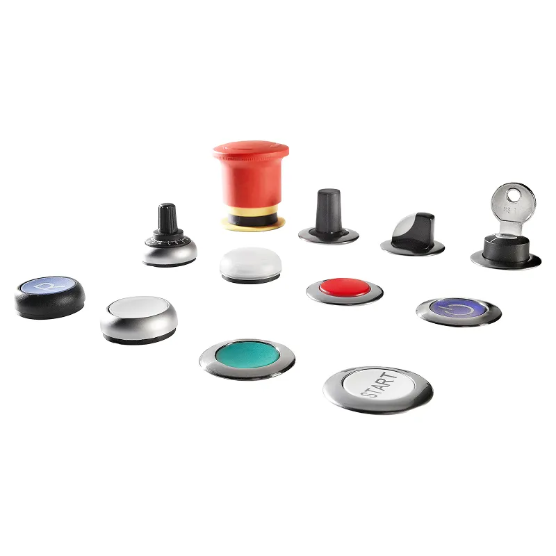 Butoane chei si lampi semnalizare