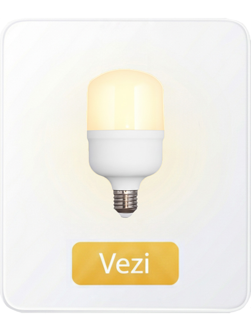 Светодиодная лампа серии T