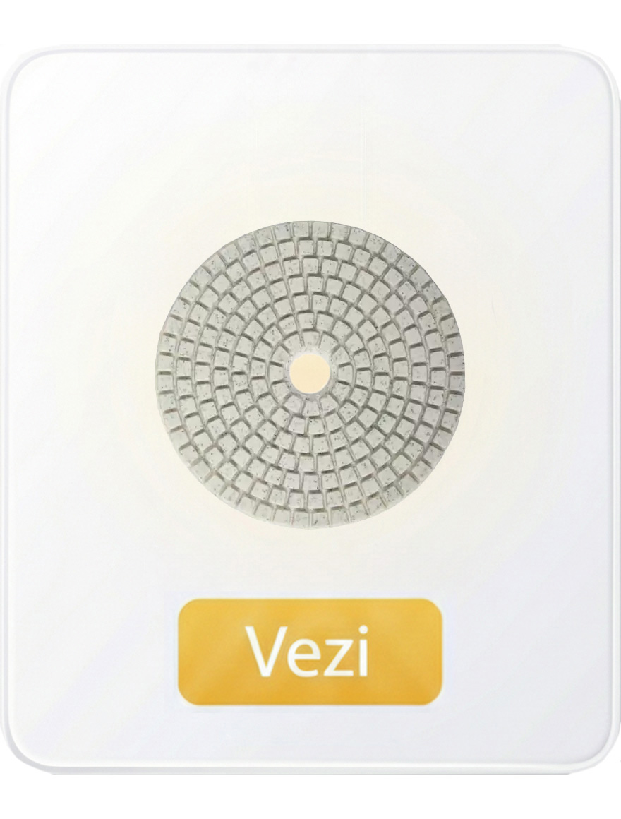 Disc diamantat segmentat