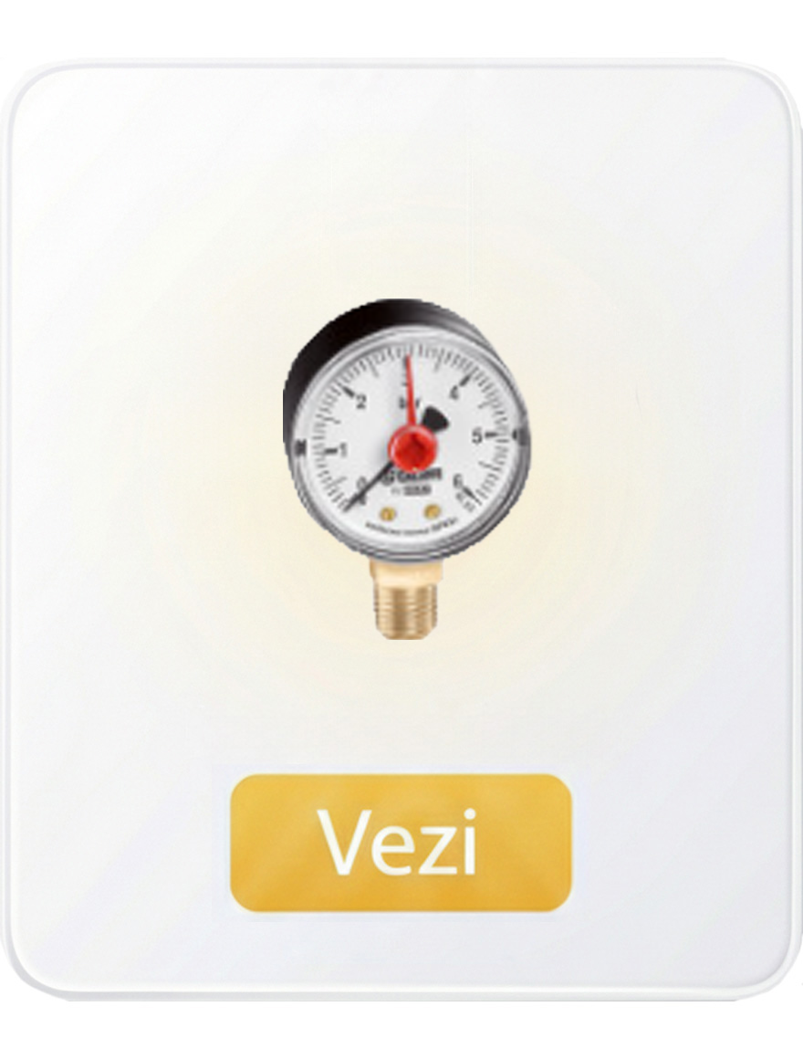 Manometre și termometre