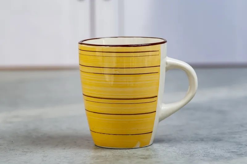 R725 Кружка керам. 1шт, 1/48