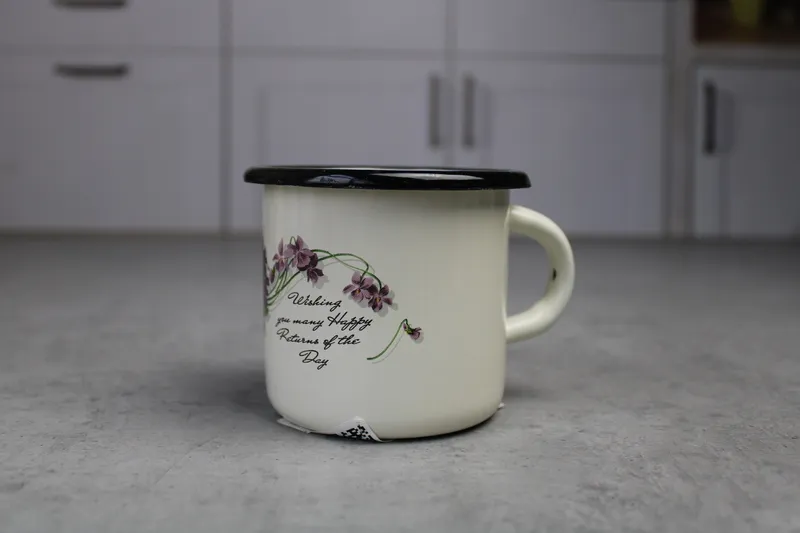 NM-2502 i01031/2 Cana 0.4L Viola (milc) (1/48)