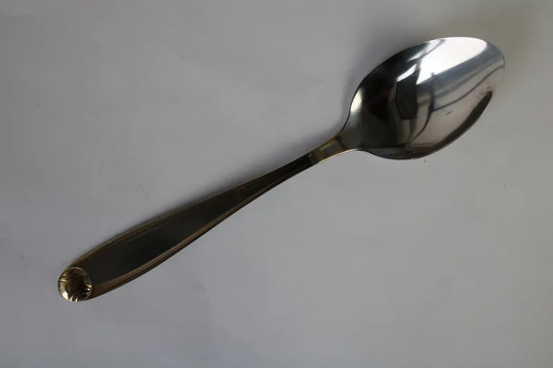 24-8 Lingura 1 buc 1/100