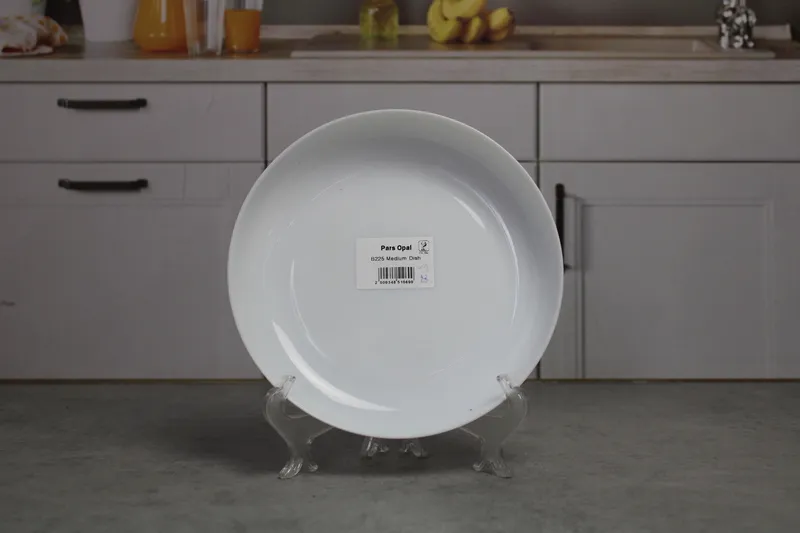 B225 Medium Dish 1/24
