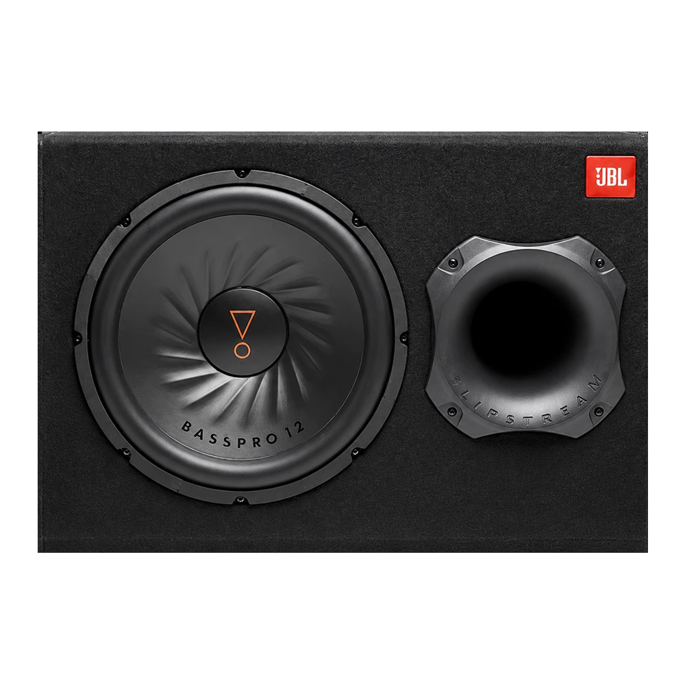JBL BassPro 12"
