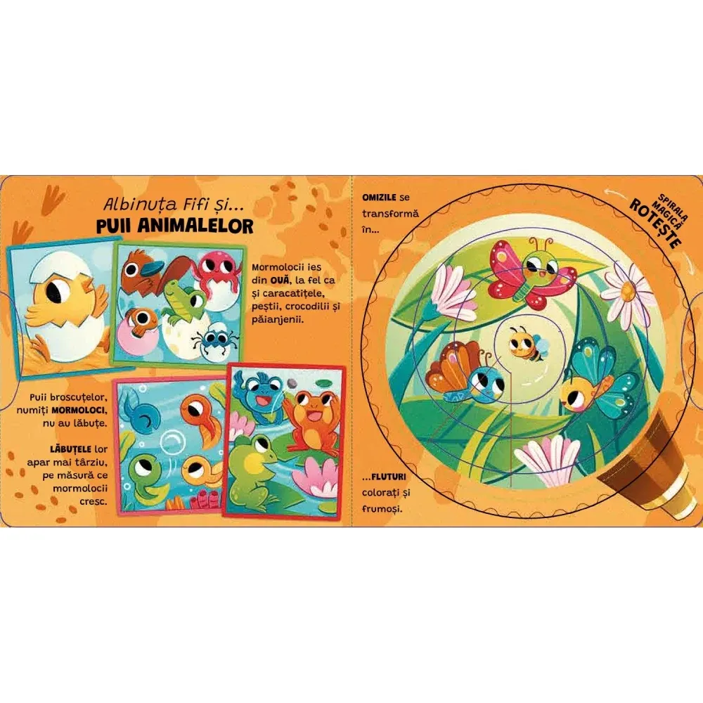 5 Spirale cu secrete. Secretele animalelor cu albinuţa Fifi (03744)