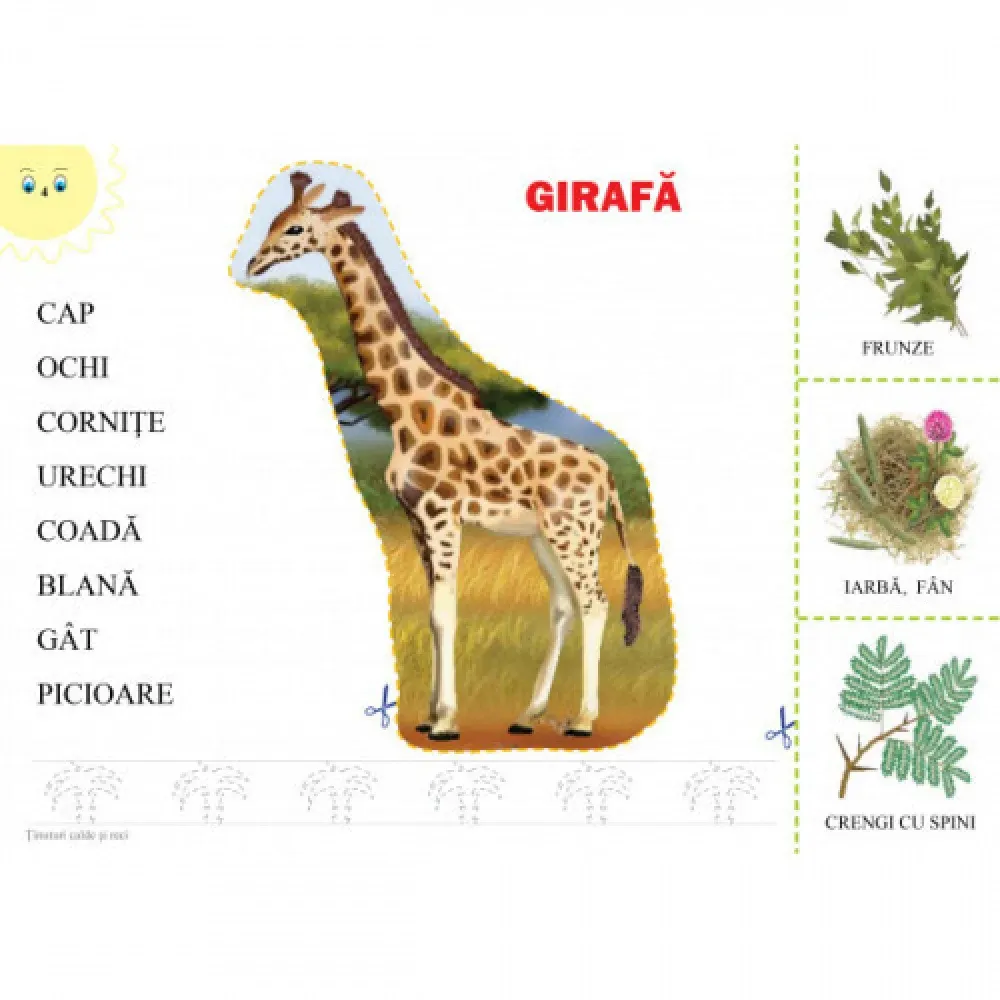 Animale din ținuturile calde și reci (cu foi detașabile) (34287)