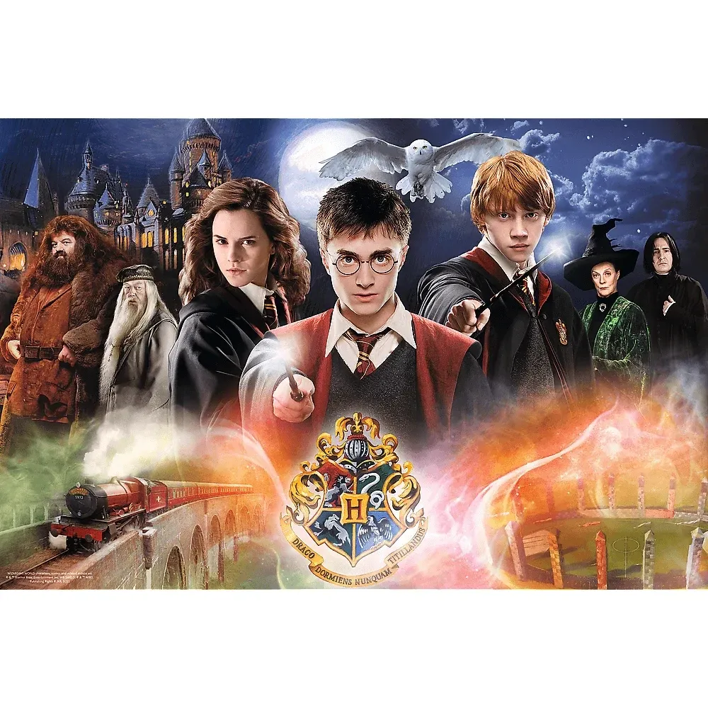 Harry Potter ,300 elemente (23001)