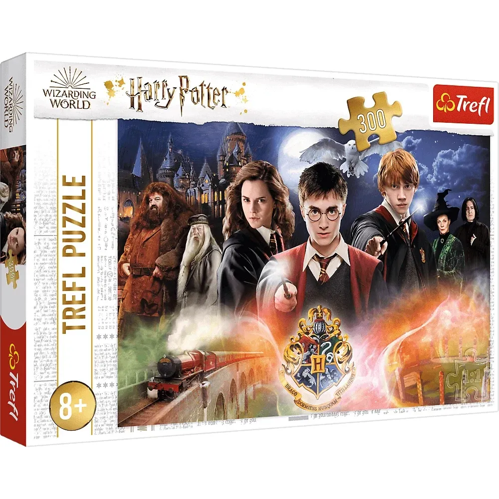 Harry Potter ,300 elemente (23001)