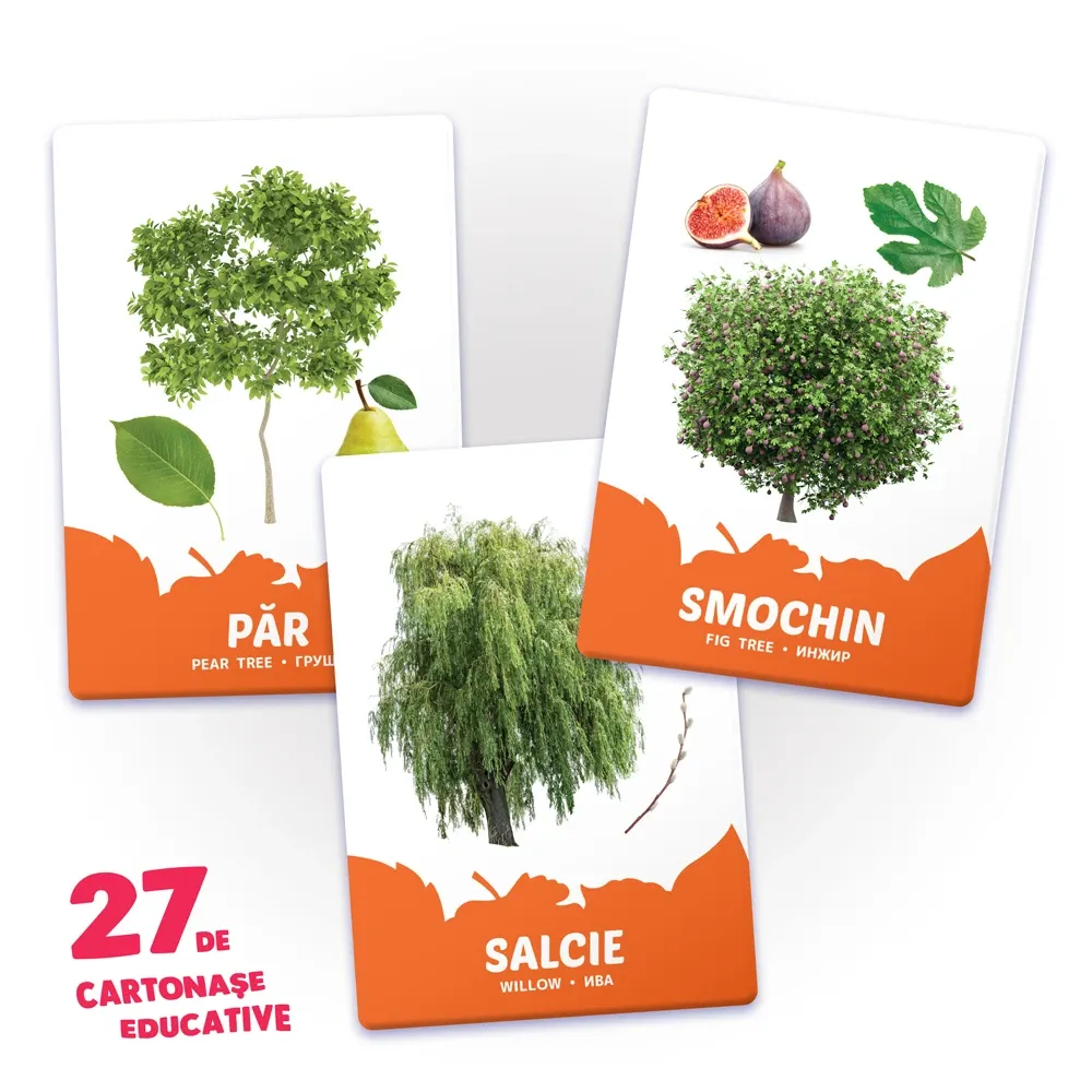 27 de cartonase. Arbori si arbusti, frunze si fructe (00835)