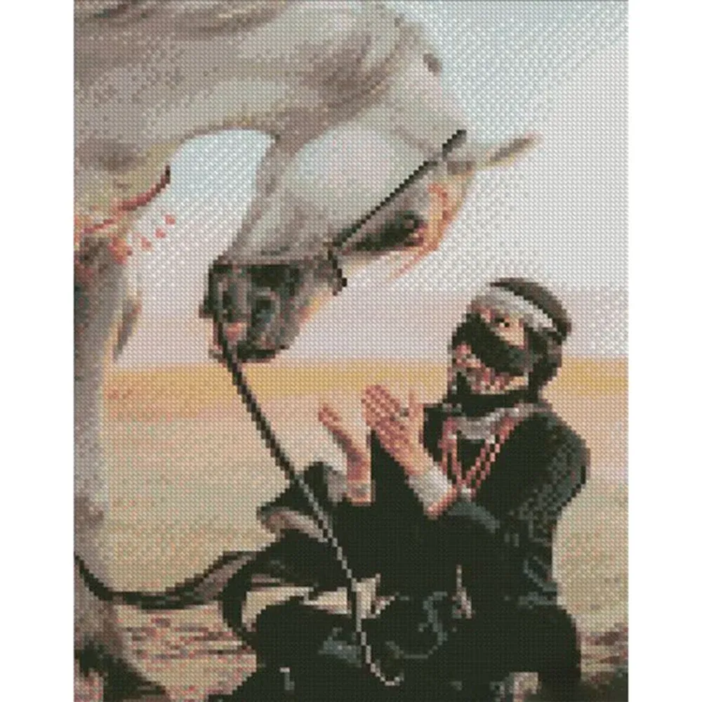 Алмазная мозаика Сокол и бедуин, 30х40 см, Strateg (56151)