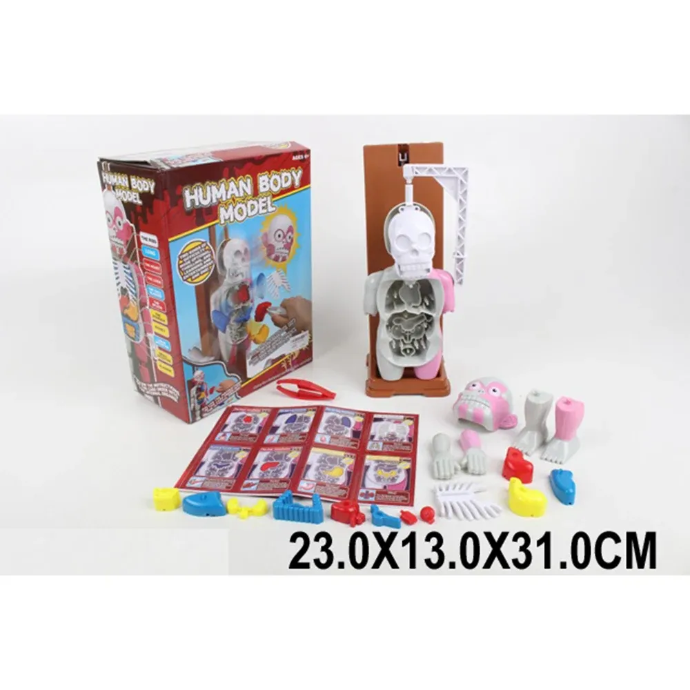 Настольная игра «Тело человека» (90829)