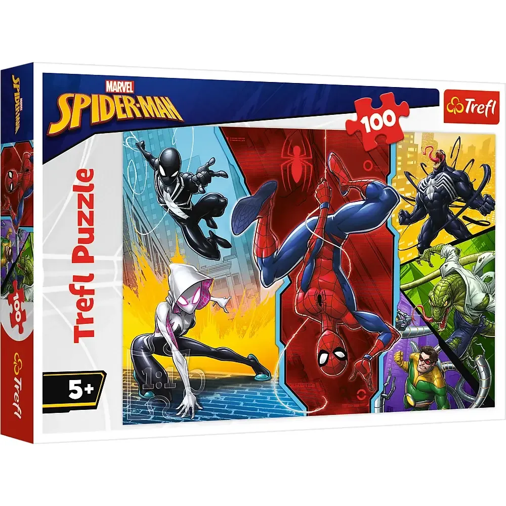 Spiderman, 100 elemente (16347)
