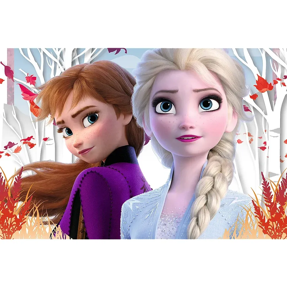 Frozen 2, 60 elemente (17333)