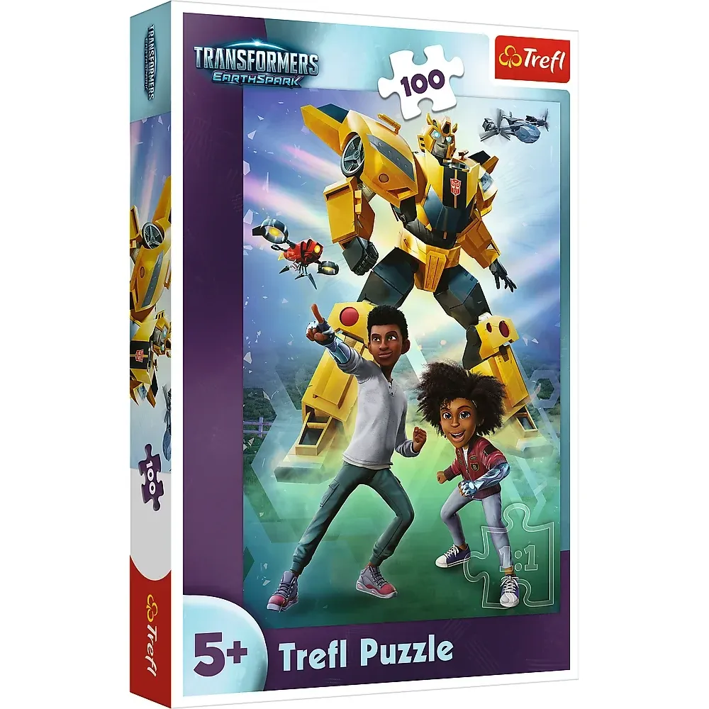 Transformers, 100 elemente (16457)