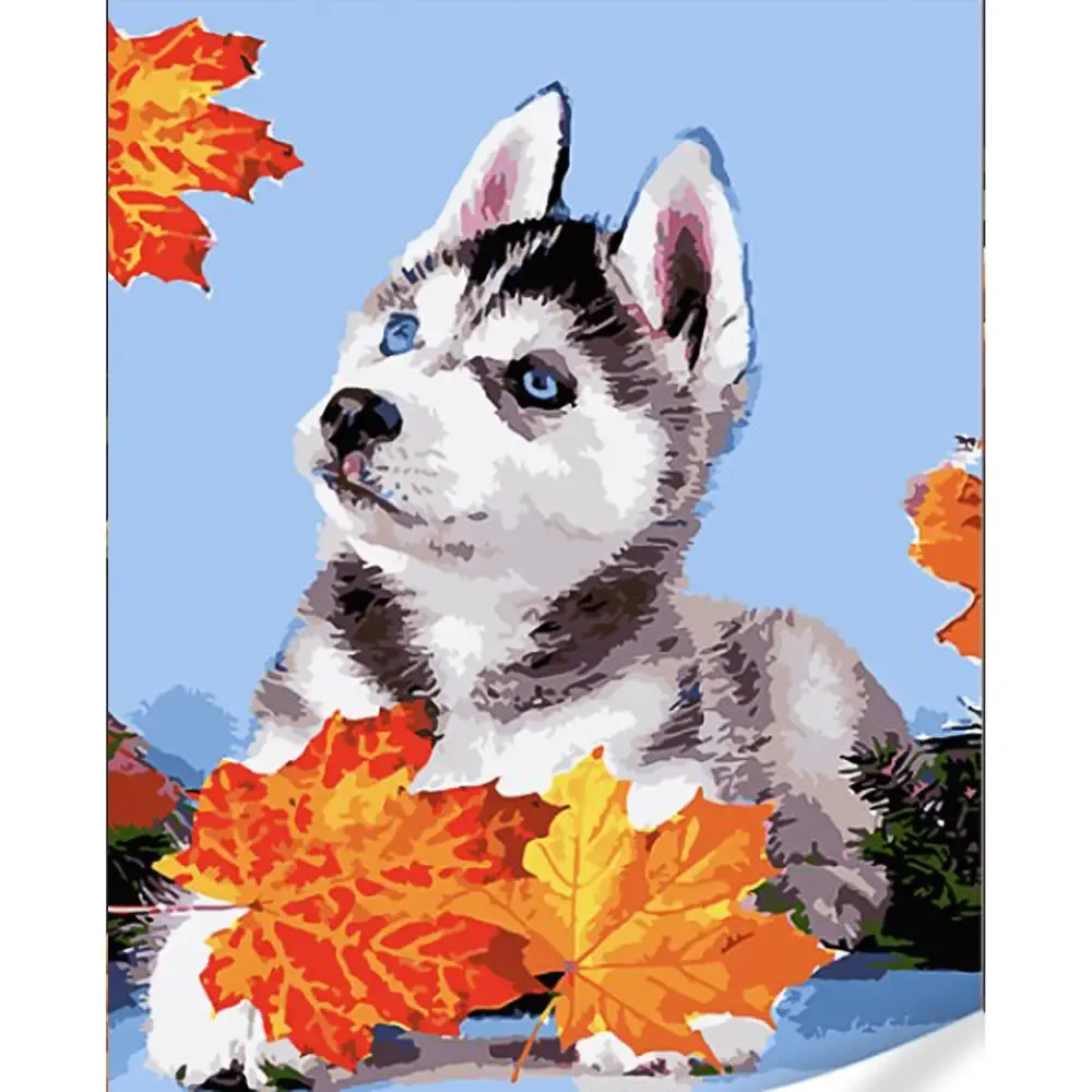 Pictură pe numere Cățel Husky printre frunze, 40×50 cm, Strateg (GS1628)