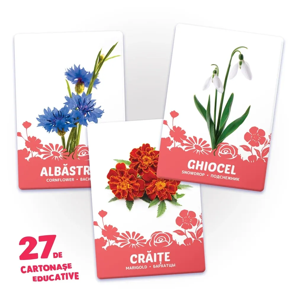 27 карт. Цветы (00903)