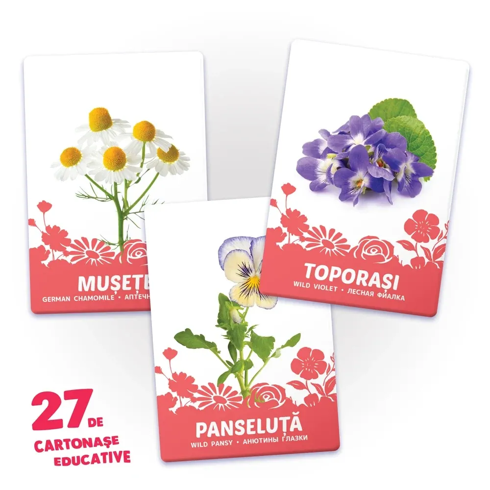 27 карт. Цветы (00903)