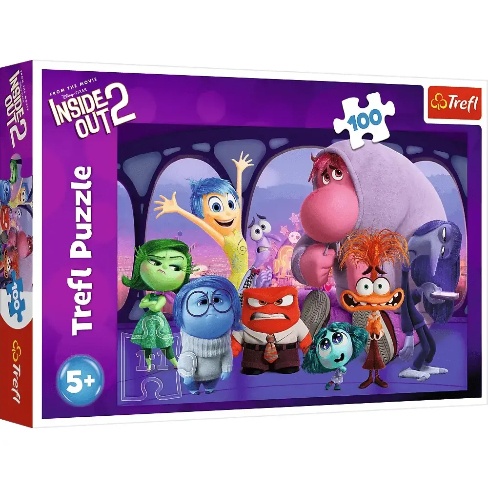 Inside OUT, 100 elemente (16477)