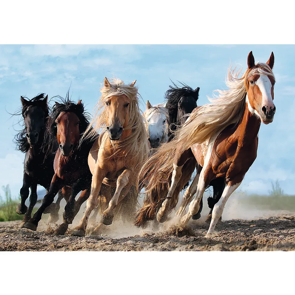 La galop, 1000 elemente (10446)