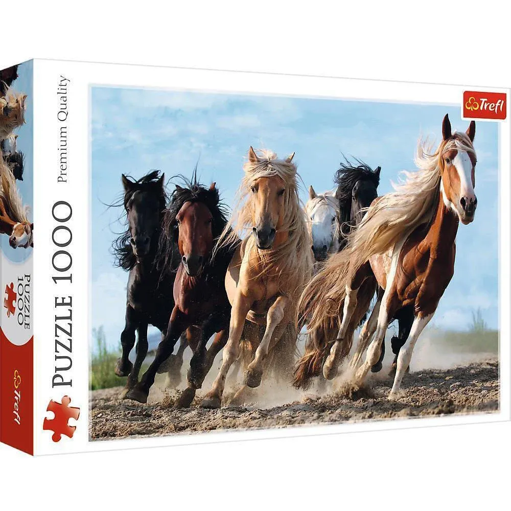 La galop, 1000 elemente (10446)