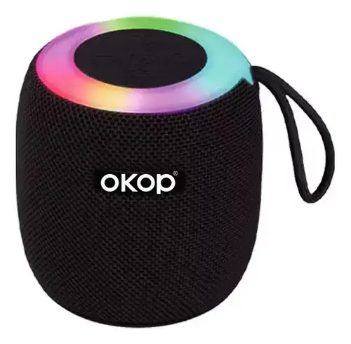 Boxa  /100  KP309