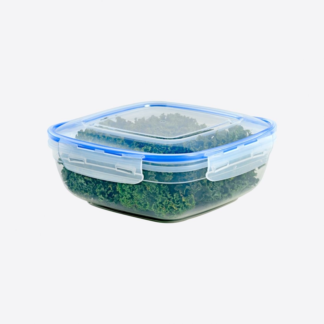Container 2.7 L D30406