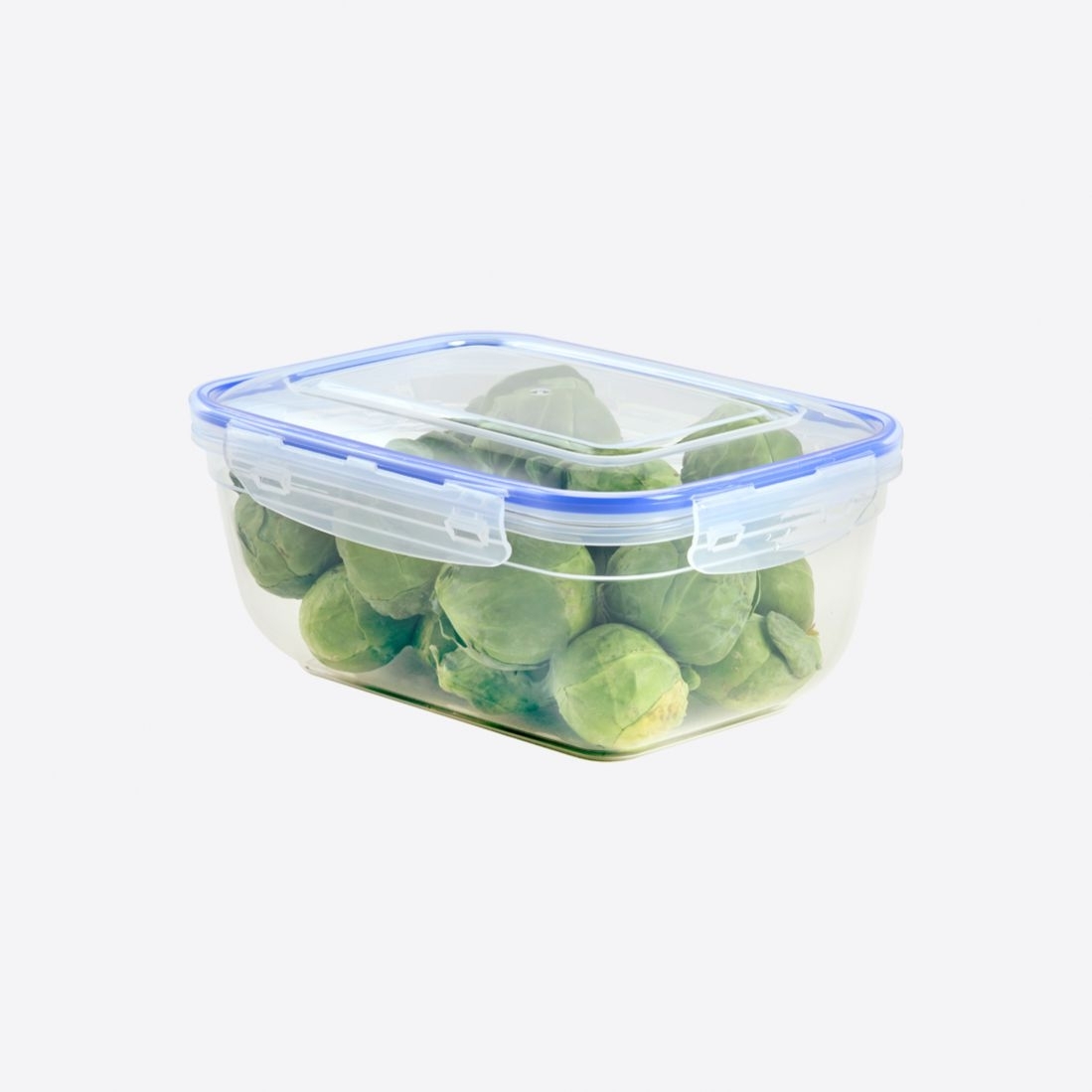 Container ermetic 2.3 L D30114