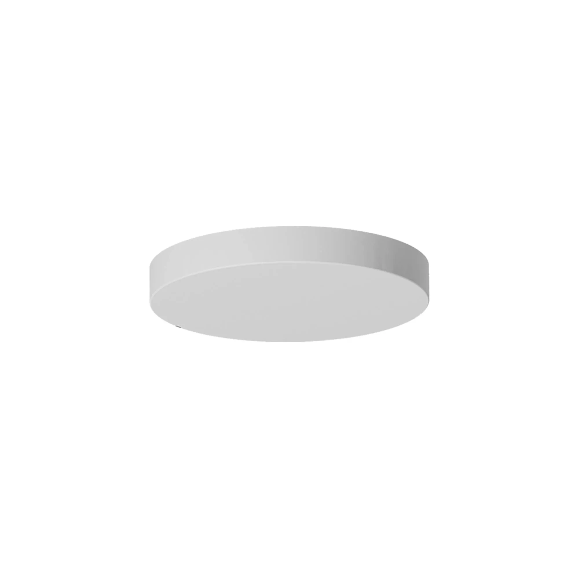 Canopy RD D300*40 WH(MAGNET)