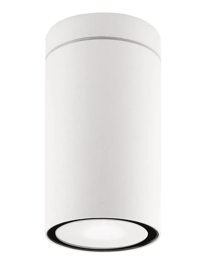 Plafonieră exterior CERISE GU10, compatibil 1x35 W, 220-240 V, IP54, aluminiu și sticlă