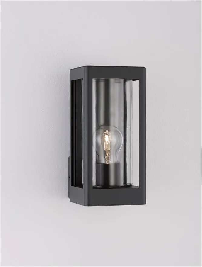 Aplică exterior FIGO E27, 1x12 W, 110-240 V, IP54, aluminiu și sticlă 3