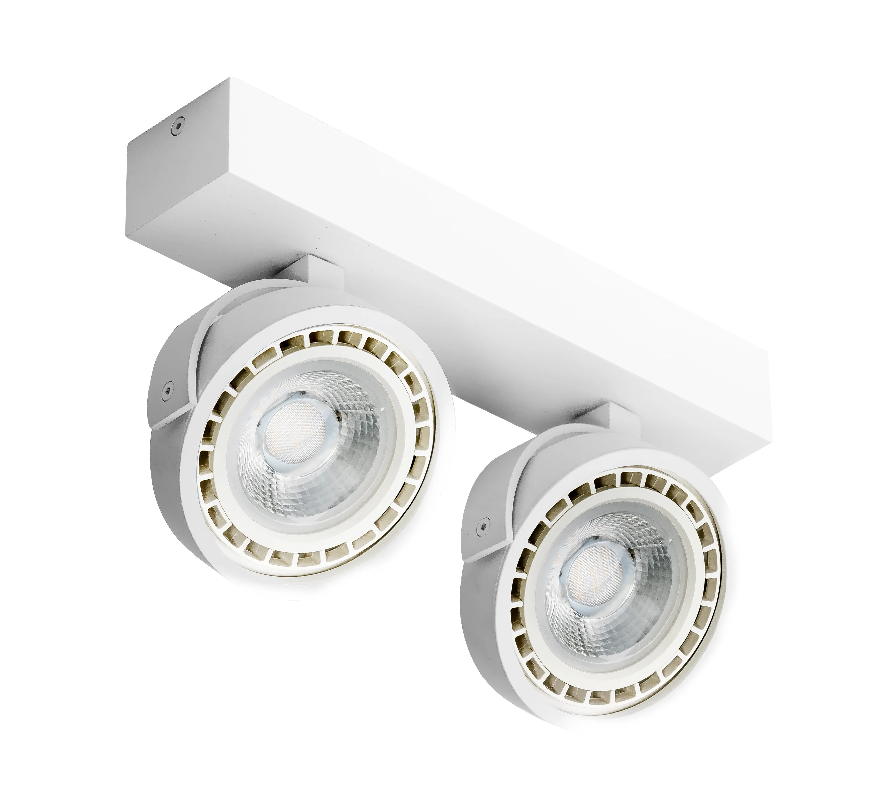 Spot aparent JERRY, alb, finisaj mat, 230V, ES111 + GU10, 2x50W, IP20