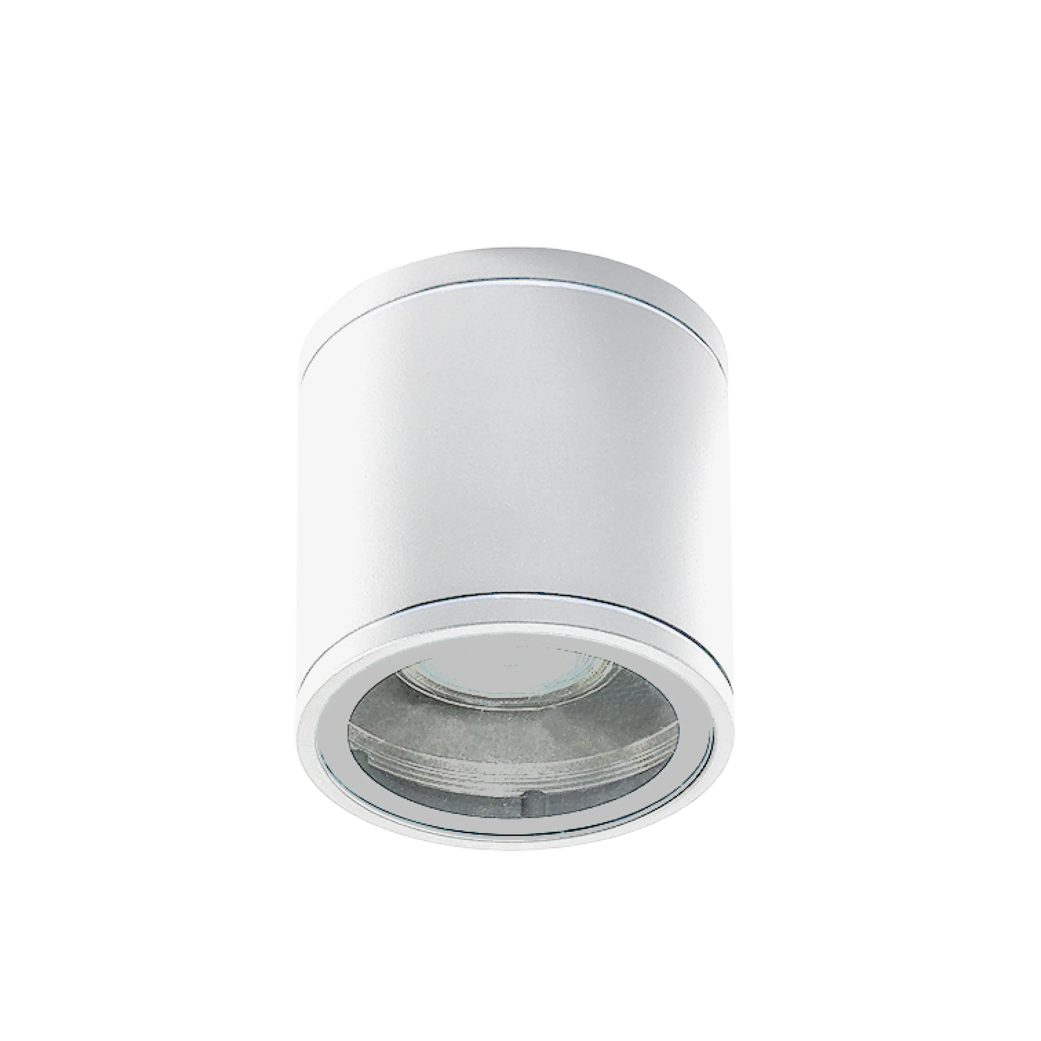 Spot aparent JOE, alb, finisaj mat, 230V, GU10, 1x40W, IP54