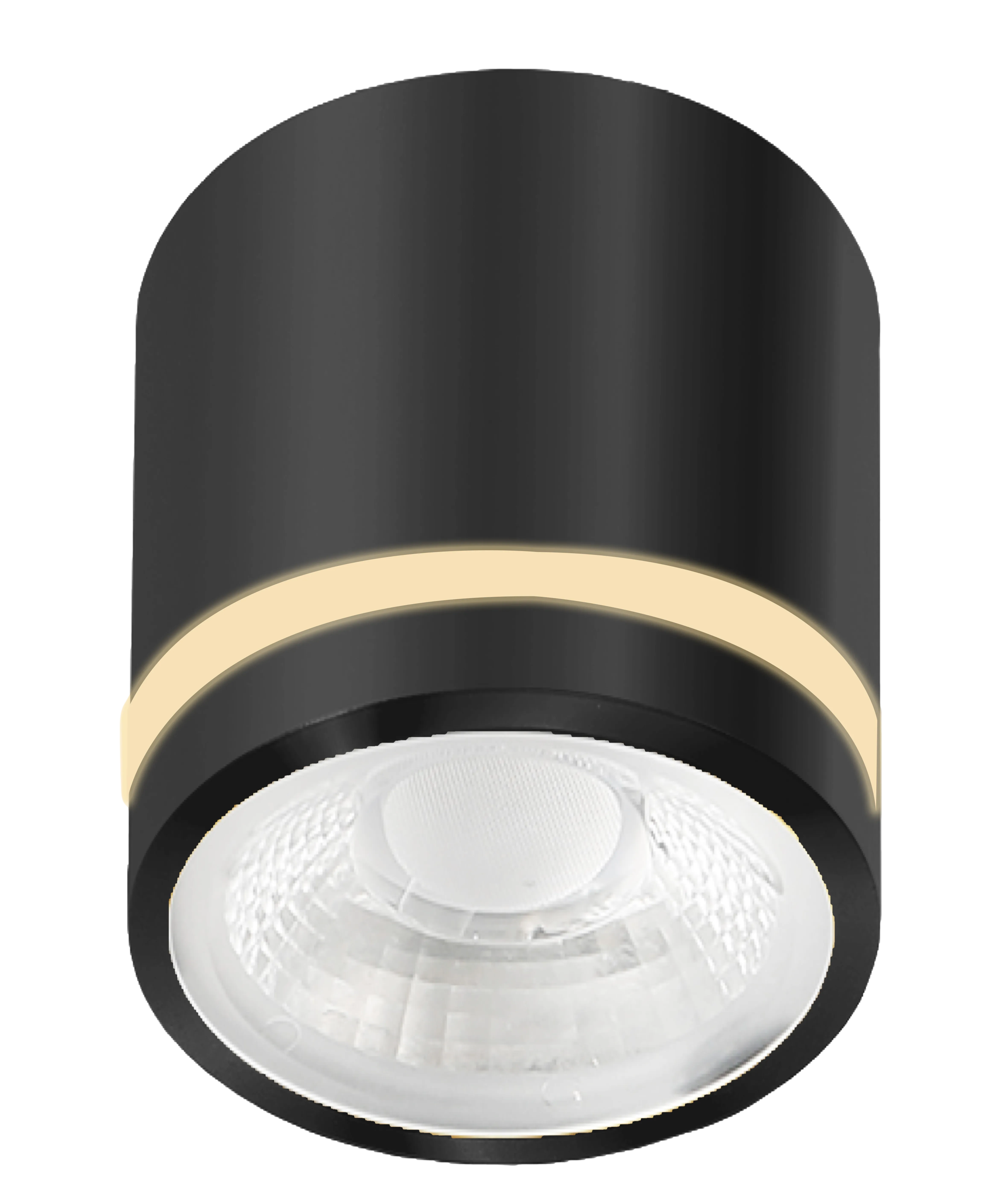 Spot aparent VICI, negru, finisaj mat, 230V, LED, 1x12W, 720lm, 3000-4000-6000K, CRI ≥90, CCT, IP44