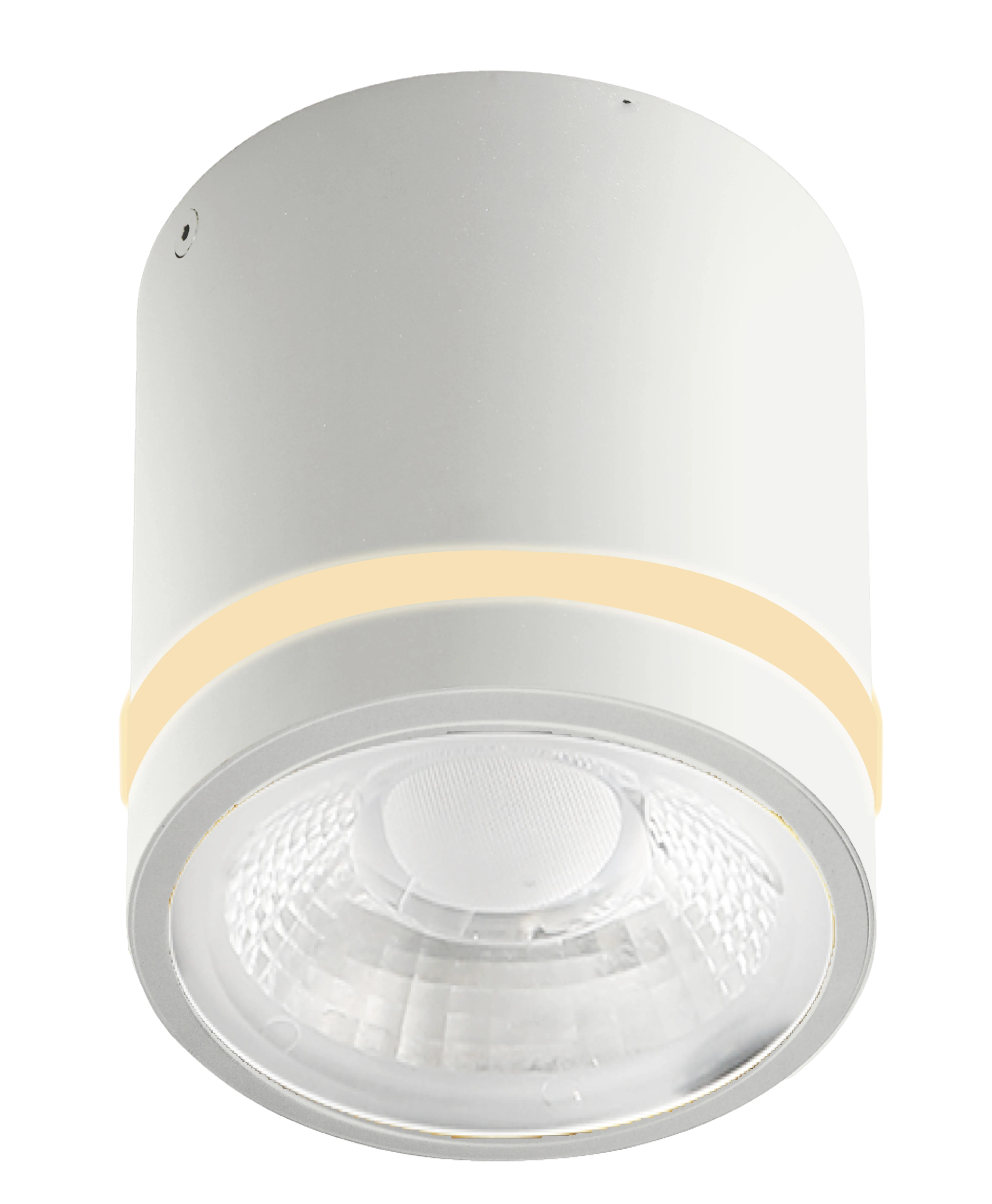 Spot aparent VICI, alb, finisaj mat, 230V, LED, 1x12W, 720lm, 3000-4000-6000K, CRI ≥90, CCT, IP44
