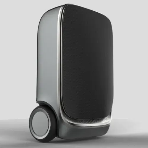 Умный багаж Xiaomi Mi Smart Suitcase 90 20" Points Fun Puppy, Black