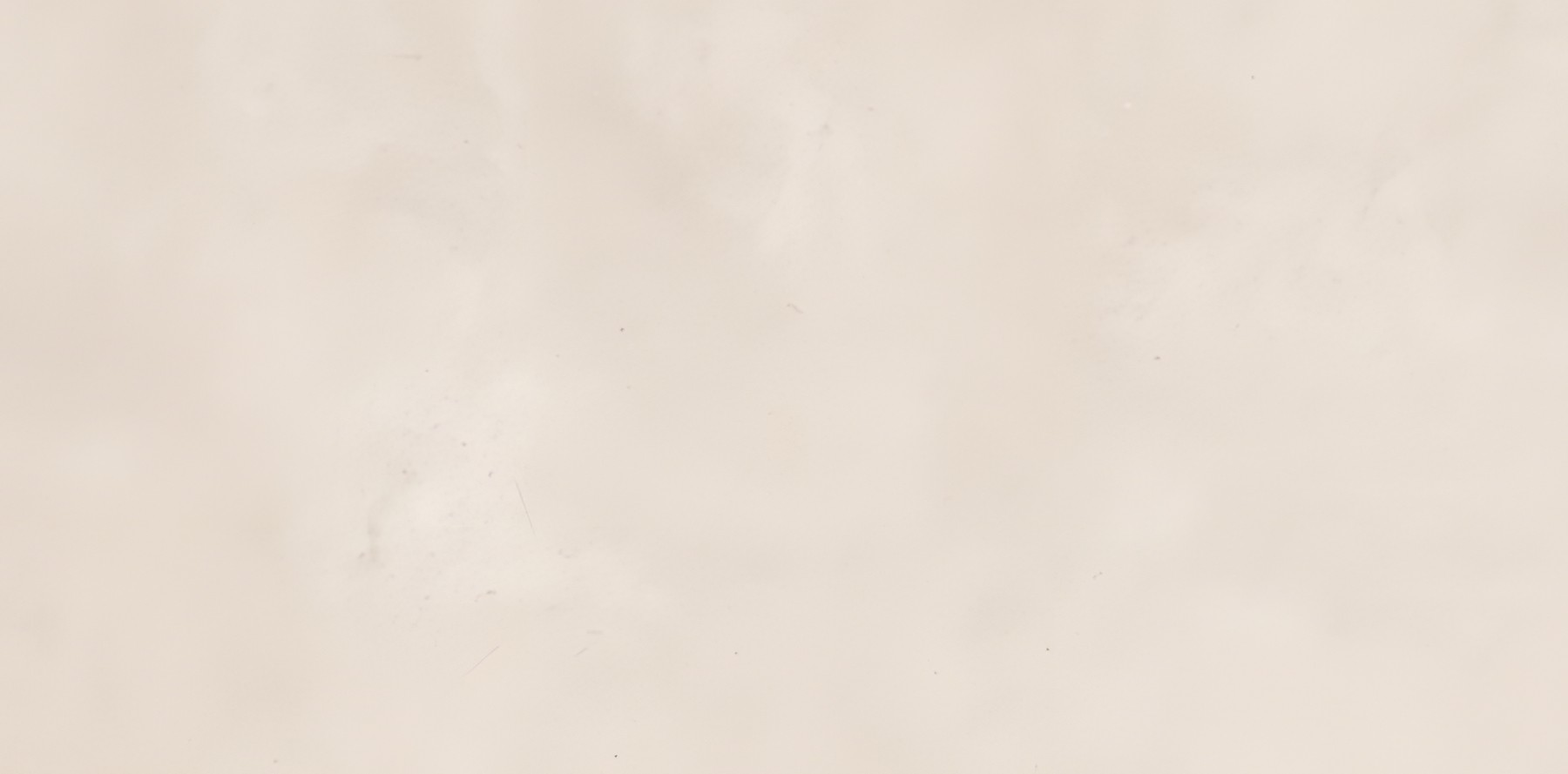 Gresie DASTER CREMA R10 60*120  ( 9mm)